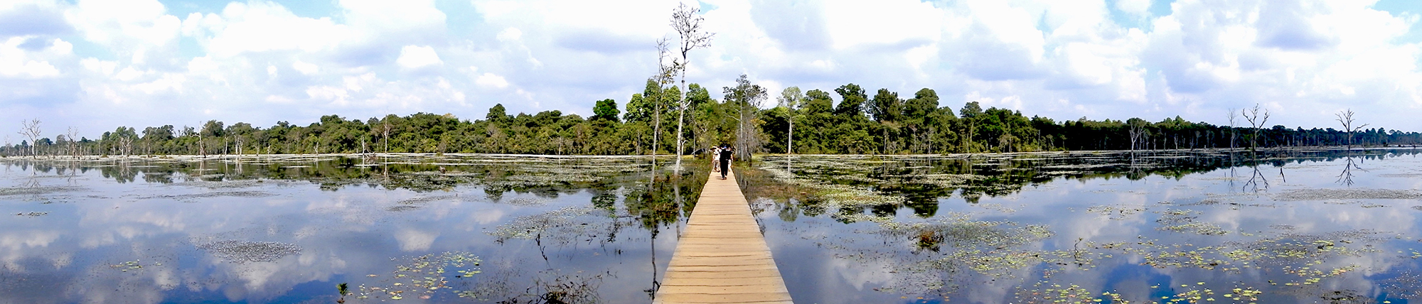 Bridge To The Unknown