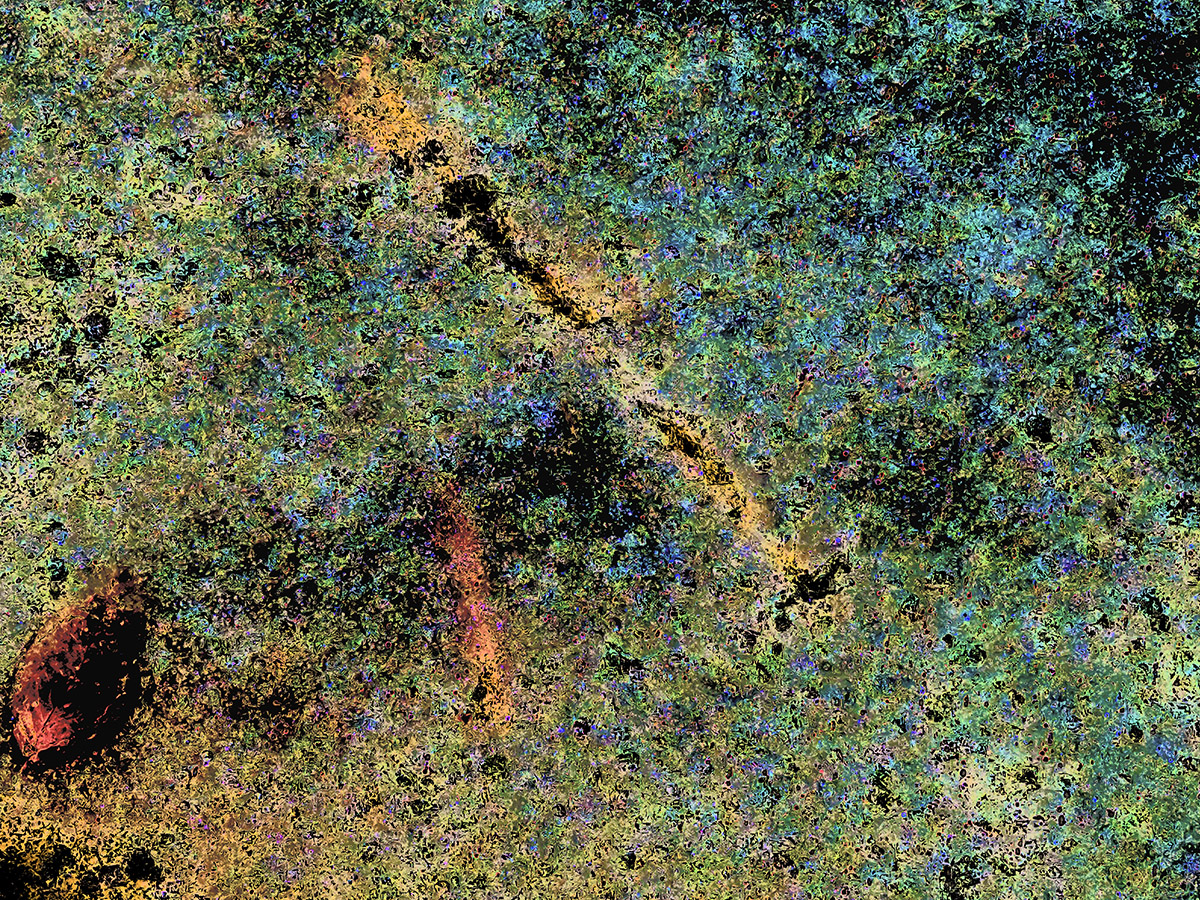 EBakst_Hidden_Spaces_Galaxy_Within