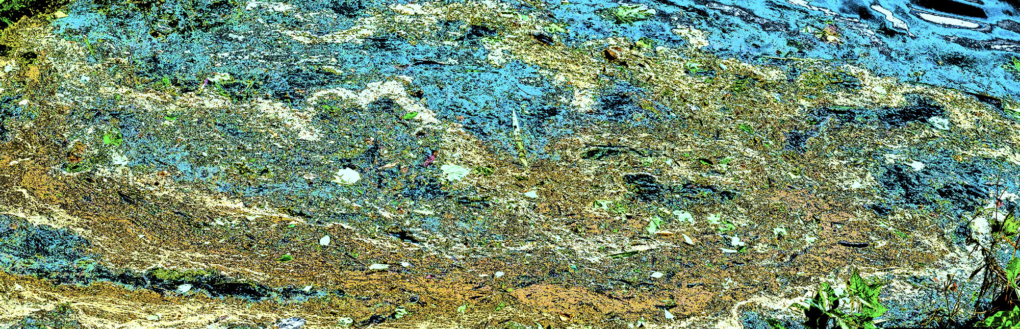 Hidden Spaces 2005 Teal